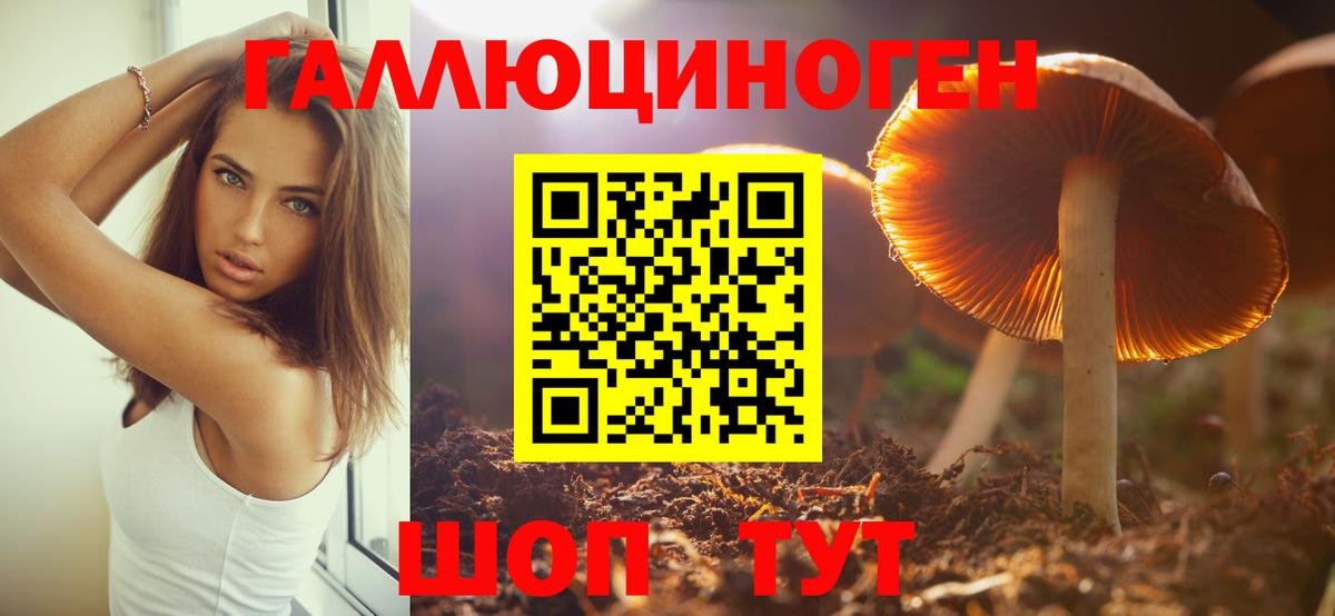 Галлюциногенные грибы Cubensis  Вход с VPN  Кировск  Псилоцибиновые грибы Psilocybe 